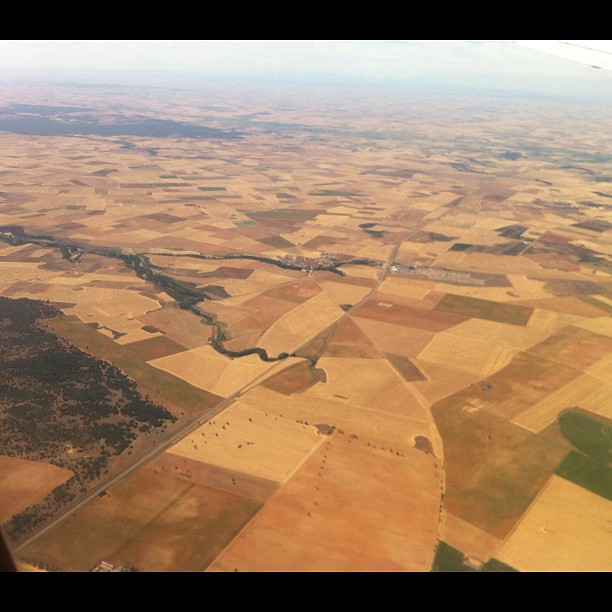 services-04 paisaje de campos